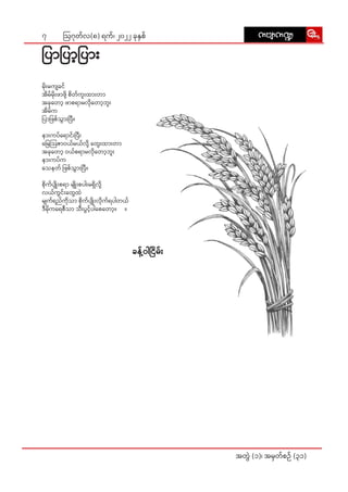 7
အတွဲဲ� (၁)၊ အမှှတ််စဉ်် (၃၁)
ဩဂုုတ််လ(၈) ရက််၊ ၂၀၂၂ ခုုနှှစ်် uAsmu@
uAsmu@
ပြာ�ာပြာ့�့�ပြား�း�
မိုးး��မကျျခင််
အိိမ််မိုးး��ဖာာဖို့့�� စိိတ််ကူးး�ထားး�တာာ
အခုုတော့�့� ဖာာစရာာမလိုု�တော့�့�ဘူးး�
အိိမ််က
ပြာ�ာဖြ�စ််သွားး��ပြီ�ီ။
နား�းကပ််ရော�ာင်းး�ပြီး�း�
မြေ�ေသြ�ဇာာဝယ််မယ််လို့့�� တွေး�း�ထားး�တာာ
အခုုတော့�့� ဝယ််စရာာမလိုု�တော့�့�ဘူးး�
နား�းကပ််က
သေ�နတ်် ဖြ�စ််သွားး��ပြီ�ီ။
စိုု�က််ပျိုး�း��စရာာ မျိုး�း��စပါးး�မရှိိ�လို့့��
လယ််ကွွင်းး�တွေ�ေထဲဲ
မျျက််ရည််ကိုု�သာာ စိုု�က််ပျိုး�း��လိုု�က််ရပါါတယ််
ဒီီမိုု�ကရေ�ေစီီသာာ သီးး�ပွွင့့်�ပါါစေေတော့�့�။ ။
ခန့့်�ဝါါငြိ�ိမ်းး�
 