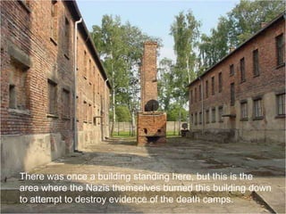 There was once a building standing here, but this is the
area where the Nazis themselves burned this building down
to attempt to destroy evidence of the death camps.
 