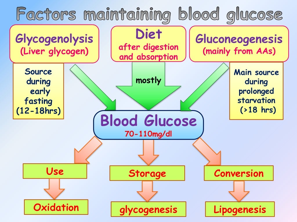 regulation-of-blood-glucose-levels