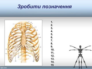 Зробити позначення
1.
2.
3.
4.
5.
6.
7.
8.
9.
10.
11.
12.
13.
14.
15
 