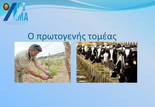 Ο πρωτογενής τομέας
 