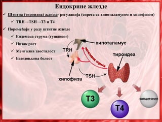 Ендокрине жлезде
 Штитна (тироидна) жлезда- регулација (спрега са хипоталамусом и хипофизом)
 TRH→TSH→T3 и T4
 Поремећаји у раду штитне жлезде
 Ендемска струма (гушавост)
 Низак раст
 Ментална заосталост
 Базедовљева болест
 