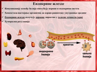 Ендокрине жлезде
 Комуникацију између ћелија омогућују нервни и ендокрини систем
 Хомеостаза-настојање организма да одржи равнотежу унутрашње средине
 Ендокрине жлезде излучују хормоне директно у телесне течности (крв)
 Хуморална регулација
 