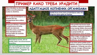 АДАПТАЦИЈЕ КОПНЕНИХ ОРГАНИЗАМА
ПРИМЕР КАКО ТРЕБА УРАДИТИ
 