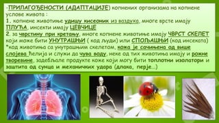 -ПРИЛАГОЂЕНОСТИ (АДАПТАЦИЈЕ) копнених организама на копнене
услове живота :
1. копнене животиње удишу кисеоник из ваздуха, многе врсте имају
ПЛУЋА, инсекти имају ЦЕВЧИЦЕ
2. за чврстину при кретању, многе копнене животиње имају ЧВРСТ СКЕЛЕТ
који може бити УНУТРАШЊИ ( код људи) или СПОЉАШЊИ (код инсеката)
*код животиња са унутрашњим скелетом, кожа је сачињена од више
слојева ћелија и служи да чува воду, неке од тих животиња имају и рожне
творевине, задебљале продукте коже који могу бити топлотни изолатори и
заштита од сунца и механичких удара (длака, перје...)
 