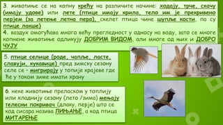 3. животиње се на копну крећу на различите начине: ходају, трче, скачу
(имају удове) или лете (птице имају крила, тело им је прекривено
перјем (за летење летна пера), скелет птица чине шупље кости, па су
птице лакше)
4. ваздух омогућава много већу прегледност у односу на воду, зато се многе
копнене животиње одликују ДОБРИМ ВИДОМ, али многе од њих и ДОБРО
ЧУЈУ
6. неке животиње преласком у топлију
или хладнију сезону (лето /зима) мењају
телесни покривач (длаку, перје) што се
код сисара назива ЛИЊАЊЕ, а код птица
МИТАРЕЊЕ
5. птице селице (роде, чапље, ласте,
славуји, кукавице) пред зимску сезону
селе се – мигрирају у топије крајеве где
ће у током зиме имати храну
 