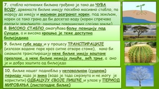 7. стабло копнених биљака грађено је тако да ЧУВА
ВОДУ, дрвенасте биљке имају посебно масивно стабло, па
морају да имају и масиван разгранат корен, под земљом,
корен се тако грана да би досегао воду (корен спречава
ерозију земљишта- одношење површинских слојева земље)
8. ВИСОКО СТАБЛО омогућава бољу позицију под
Сунцем, а и висока крошња је теже доступна
биљоједима
9. биљке губе воду и у процесу ТРАНСПИРАЦИЈЕ
(излазак водене паре кроз ситне отворе стоме), како би
смањиле транспирацију неке биљке имају воштане
превлаке, а неке биљке немају лишће, већ трње, а оно
је и добра заштита од биљоједа
10. биљке нашег поднебља у неповољном (сушном)
периоду када је зима (вода је тада смрзнута и не могу је
користити) ОДБАЦУЈУ СВОЈЕ ЛИШЋЕ и улазе у ПЕРИОД
МИРОВАЊА (листопадне биљке)
 