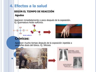 4. Efectos a la salud
SEGÚN EL TIEMPO DE REACCIÓN
Aparecen inmediatamente o poco después de la exposición.
Ej. Quemadura Acido sulfúrico.
Agudos
Aparecen mucho tiempo después de la exposición repetida a
pequeñas dosis del tóxico. Ej. Silicosis
Crónicos:
 