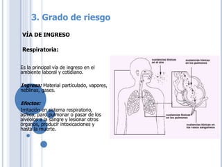 Es la principal vía de ingreso en el
ambiente laboral y cotidiano.
Ingresa: Material partículado, vapores,
neblinas, gases.
Efectos:
Irritación en sistema respiratorio,
asfixia, paro pulmonar o pasar de los
alvéolos a la sangre y lesionar otros
órganos, producir intoxicaciones y
hasta la muerte.
VÍA DE INGRESO
Respiratoria:
3. Grado de riesgo
 