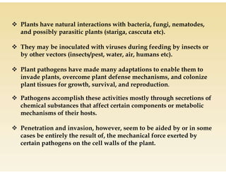  Plants have natural interactions with bacteria, fungi, nematodes,
and possibly parasitic plants (stariga, casccuta etc).
They may be inoculated with viruses during feeding by insects or
by other vectors (insects/pest, water, air, humans etc).
Plant pathogens have made many adaptations to enable them to
invade plants, overcome plant defense mechanisms, and colonize
plant tissues for growth, survival, and reproduction.
plant tissues for growth, survival, and reproduction.
Pathogens accomplish these activities mostly through secretions of
chemical substances that affect certain components or metabolic
mechanisms of their hosts.
Penetration and invasion, however, seem to be aided by or in some
cases be entirely the result of, the mechanical force exerted by
certain pathogens on the cell walls of the plant.