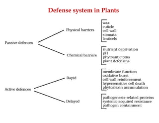 Defense system in Plants