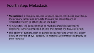 Comprehensive Overview of Tumor Imaging and Cancer Pathophysiology | PPTX