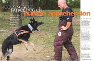 FOCUSING YOUR
   PATROL DOG ON
   A step-by-step
   method for
                    human apprehension
                                                                                                                                                                         B Y J E R RY B R A D S H AW
   teaching and
   reinforcing
                                                                                                                                                                         C      ONTROLLED
                                                                                                                                                                                AGGRESSION in the
                                                                                                                                                                         form of criminal apprehen-
                                                                                                                                                                         sion is the one thing we
                                                                                                                                                                         cannot practice as it might
   human                                                                                                                                                                 happen on the street. For
                                                                                                                                                                         obvious reasons, no one is
   orientation.                                                                                                                                                          willing to give a police dog a
                                                                                                                                                                         real bite, on purpose, to proof
                                                                                                                                                                         apprehension behavior. Yet
                                                                                                                                                                         lives can depend on the dog
                                                                                                                                                                         being willing to engage a
                                                                                                                                                                         human suspect who will not
                                                                                                                                                                         be dressed in bite equipment.
                                                                                                                                                                         For the street police dog,
                                                                                                                                                                         therefore, it’s imperative that
                                                                                                                                                                         we orient the dog’s aggres-
                                                                                                                                                                         sion toward the person. As
                                                                                                                                                                         we teach the dog the proper




                           PHOTOGRAPHERS: OPPOSITE, JEFF MEYER; OPPOSITE INSET AND ABOVE, COURTESY OF ACEK9.COM
                                                                                                                                                                         way to bite and to target, and
                                                                                                                                                                         to do those things under
                                                                                                                                                                         control, we must never forget
                                                                                                                                                                         that the ultimate goal is to
                                                                                                                                                                         teach the dog to fight the
                                                                                                                                                                         suspect with courage,
                                                                                                                                                                         intensity, and decisiveness in
                                                                                                                                                                         the absence of training
                                                                                                                                                                         equipment. That requires the
                                                                                                                                                                         dog to focus his aggression
                                                                                                                                                                         on the person, and not on
                                                                                                                                                                         the equipment. This article
                                                                                                                                                                         will discuss training methods




                                                                                                                                     PHOTOGRAPH: COURTESY OF ACEK9.COM
                                                                                                                                                                         ■ A skilled decoy reinforces
                                                                                                                                                                         human orientation in a canine
                                                                                                                                                                         that is used to biting a sleeve.
                                                                                                                                                                         Once the canine is human-
                                                                                                                                                                         focused, the decoy can kick
                                                                                                                                                                         toward the canine and deliver a
                                                                                                                                                                         grip on the bite suit pants, then
                                                                                                                                                                         go to ground and roll away.

                                                                                                                  MARCH/APRIL 2008                                         Police K-9 Magazine         33
 