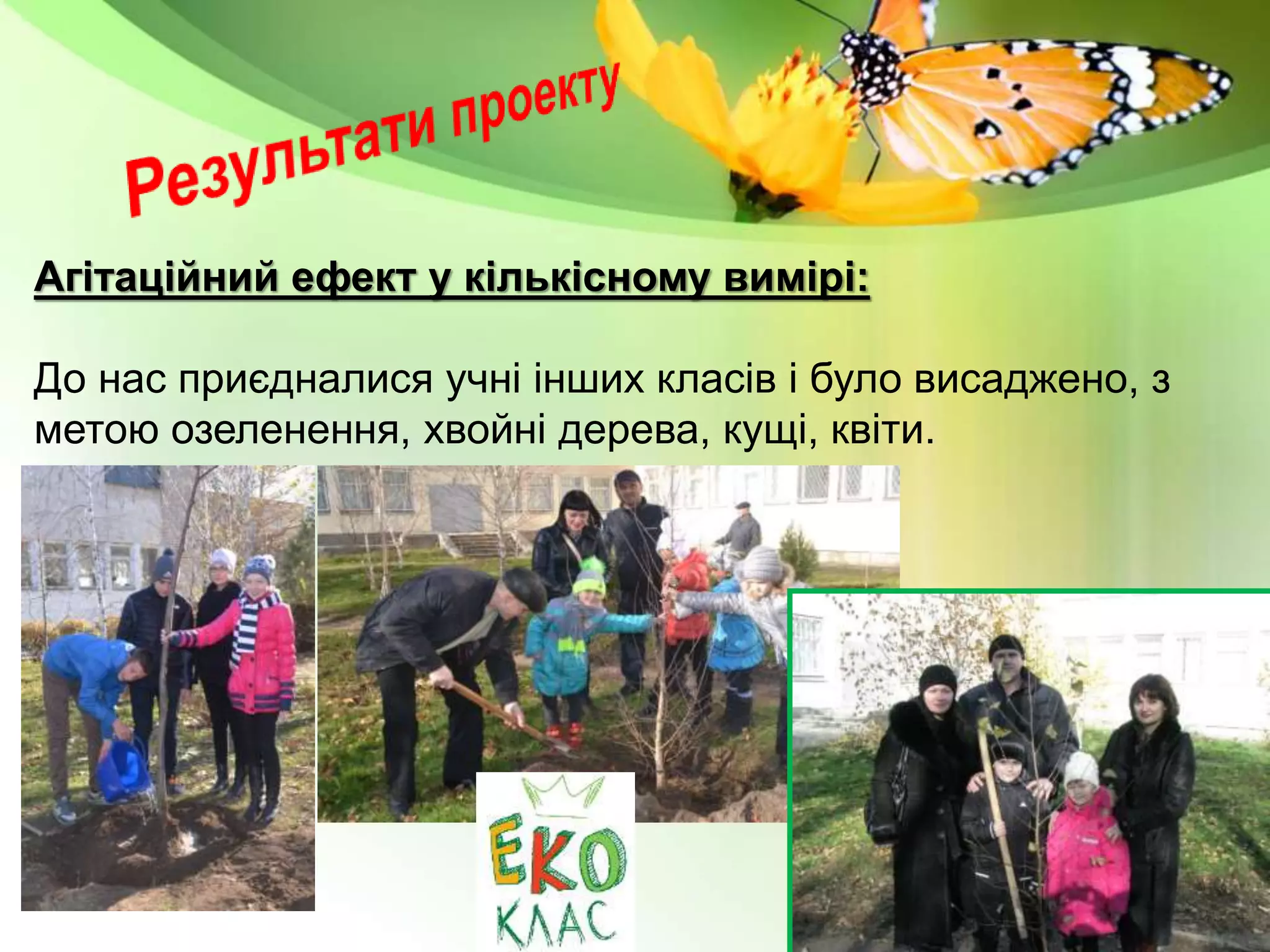 Агітаційний ефект у кількісному вимірі:
До нас приєдналися учні інших класів і було висаджено, з
метою озеленення, хвойні дерева, кущі, квіти.
 