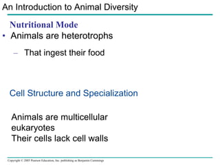 Nutritional Mode ,[object Object],[object Object],An Introduction to Animal Diversity Cell Structure and Specialization Animals are multicellular eukaryotes Their cells lack cell walls 