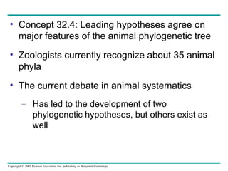 32- animals diversityfggbnnjiggiigvi text.ppt