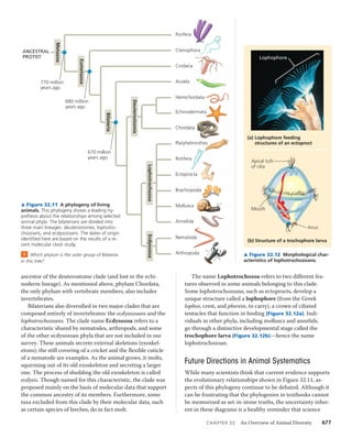 32 an overview of animal diversity | PDF