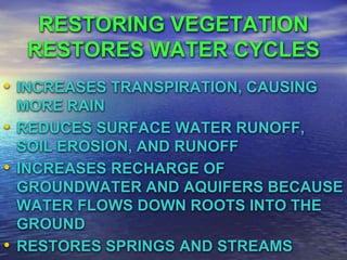RESTORING VEGETATION 
RESTORES WATER CYCLES 
• INCREASES TRANSPIRATION, CAUSING 
MORE RAIN 
• REDUCES SURFACE WATER RUNOFF...