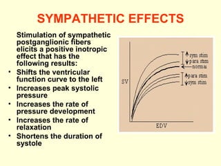 SYMPATHETIC EFFECTS Stimulation of sympathetic postganglionic fibers elicits a positive inotropic effect that has the following results:  Shifts the ventricular function curve to the left Increases peak systolic pressure  Increases the rate of pressure development Increases the rate of relaxation Shortens the duration of systole 
