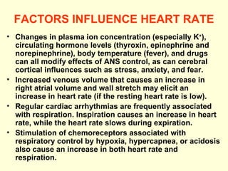 FACTORS INFLUENCE HEART RATE Changes in plasma ion concentration (especially K + ), circulating hormone levels (thyroxin, epinephrine and norepinephrine), body temperature (fever), and drugs can all modify effects of ANS control, as can cerebral cortical influences such as stress, anxiety, and fear.  Increased venous volume that causes an increase in right atrial volume and wall stretch may elicit an increase in heart rate (if the resting heart rate is low). Regular cardiac arrhythmias are frequently associated with respiration. Inspiration causes an increase in heart rate, while the heart rate slows during expiration. Stimulation of chemoreceptors associated with respiratory control by hypoxia, hypercapnea, or acidosis also cause an increase in both heart rate and respiration. 