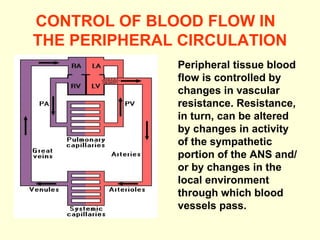 CONTROL OF BLOOD FLOW IN  THE PERIPHERAL CIRCULATION Peripheral tissue blood flow is controlled by changes in vascular resistance. Resistance, in turn, can be altered by changes in activity of the sympathetic portion of the ANS and/or by changes in the local environment through which blood vessels pass. 
