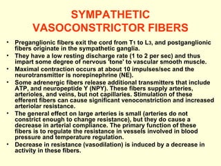 SYMPATHETIC VASOCONSTRICTOR FIBERS Preganglionic fibers exit the cord from T 1  to L 3 , and postganglionic fibers originate in the sympathetic ganglia.  They have a low resting discharge rate (1 to 2 per sec) and thus impart some degree of nervous 'tone' to vascular smooth muscle.  Maximal contraction occurs at about 10 impulses/sec and the neurotransmitter is norepinephrine (NE).  Some adrenergic fibers release additional transmitters that include ATP, and neuropeptide Y (NPY). These fibers supply arteries, arterioles, and veins, but not capillaries. Stimulation of these efferent fibers can cause significant venoconstriction and increased arteriolar resistance. The general effect on large arteries is small (arteries do not constrict enough to change resistance), but they do cause a decrease in arterial compliance. The primary function of these fibers is to regulate the resistance in vessels involved in blood pressure and temperature regulation.  Decrease in resistance (vasodilation) is induced by a decrease in activity in these fibers.   