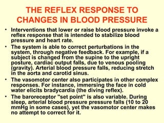 THE REFLEX RESPONSE TO CHANGES IN BLOOD PRESSURE Interventions that lower or raise blood pressure invoke a reflex response that is intended to stabilize blood pressure and heart rate.  The system is able to correct perturbations in the system, through negative feedback. For example, if a subject is changed from the supine to the upright posture, cardiac output falls, due to venous pooling (gravity). Arterial blood pressure falls, reducing stretch in the aorta and carotid sinus. The vasomotor center also participates in other complex responses. For instance, immersing the face in cold water elicits bradycardia (the diving reflex).  The baroreceptor "set point" is also variable. During sleep, arterial blood pressure pressure falls (10 to 20 mmHg in some cases), yet the vasomotor center makes no attempt to correct for it. 