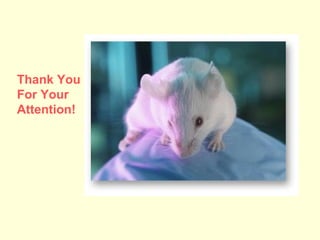 Thank You For Your Attention! 