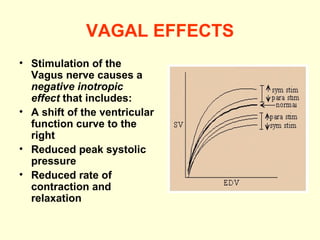 VAGAL EFFECTS Stimulation of the Vagus nerve causes a  negative inotropic effect  that includes:  A shift of the ventricular function curve to the right  Reduced peak systolic pressure  Reduced rate of contraction and relaxation  