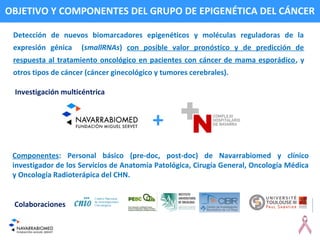 Detección de nuevos biomarcadores epigenéticos y moléculas reguladoras de la
expresión génica (smallRNAs) con posible valor pronóstico y de predicción de
respuesta al tratamiento oncológico en pacientes con cáncer de mama esporádico, y
otros tipos de cáncer (cáncer ginecológico y tumores cerebrales).
Colaboraciones
Investigación multicéntrica
+
Componentes: Personal básico (pre-doc, post-doc) de Navarrabiomed y clínico
investigador de los Servicios de Anatomía Patológica, Cirugía General, Oncología Médica
y Oncología Radioterápica del CHN.
OBJETIVO Y COMPONENTES DEL GRUPO DE EPIGENÉTICA DEL CÁNCER
 