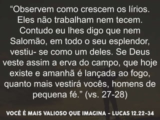 “Observem como crescem os lírios.
Eles não trabalham nem tecem.
Contudo eu lhes digo que nem
Salomão, em todo o seu esplendor,
vestiu- se como um deles. Se Deus
veste assim a erva do campo, que hoje
existe e amanhã é lançada ao fogo,
quanto mais vestirá vocês, homens de
pequena fé.” (vs. 27-28)
 