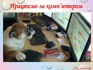 3 клас 20 урок. Істинні й хибні висловлювання.(за оновленою програмою 2016 р.)