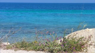 Τέλος πειράματος …
 