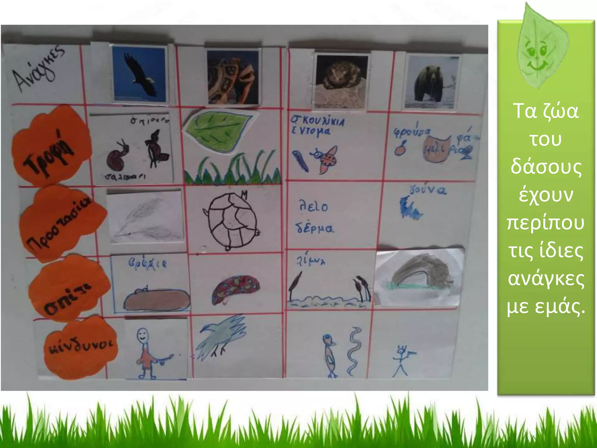 Τα ζώα
του
δάσους
έχουν
περίπου
τις ίδιες
ανάγκες
με εμάς.
 