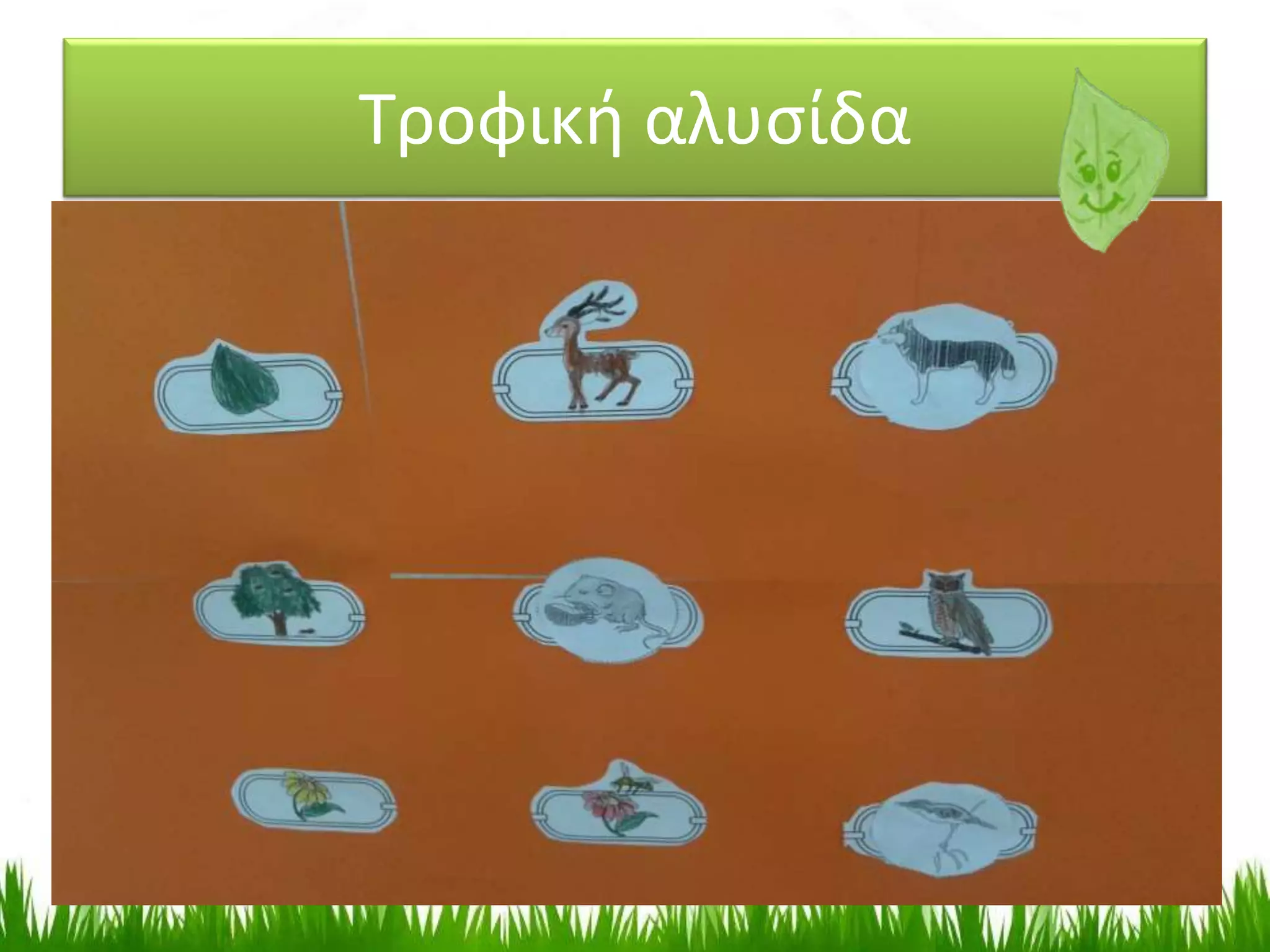 Τροφική αλυσίδα
 