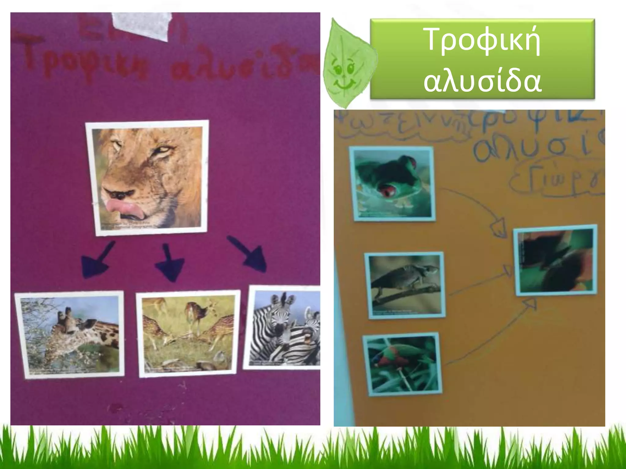 Τροφική
αλυσίδα
 