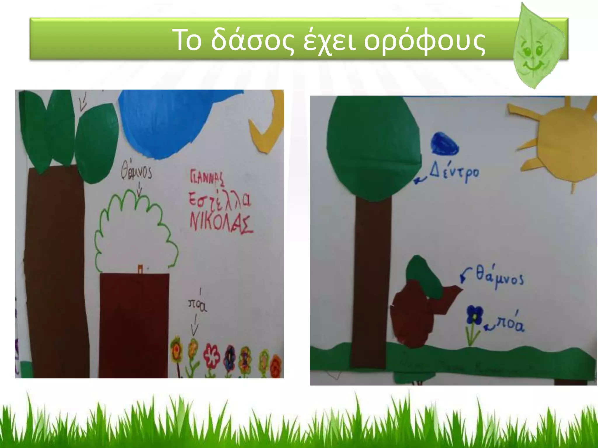 Το δάσος έχει ορόφους
 