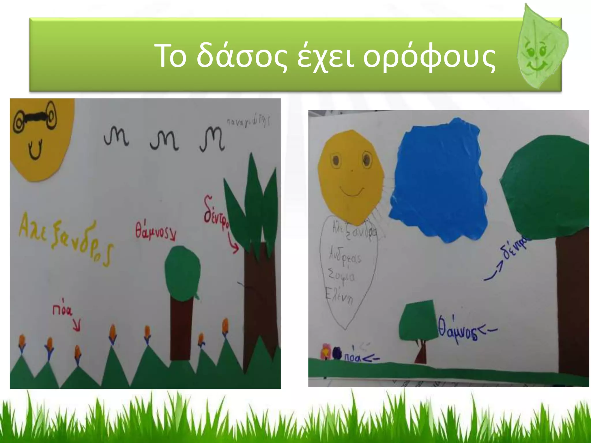 Το δάσος έχει ορόφους
 