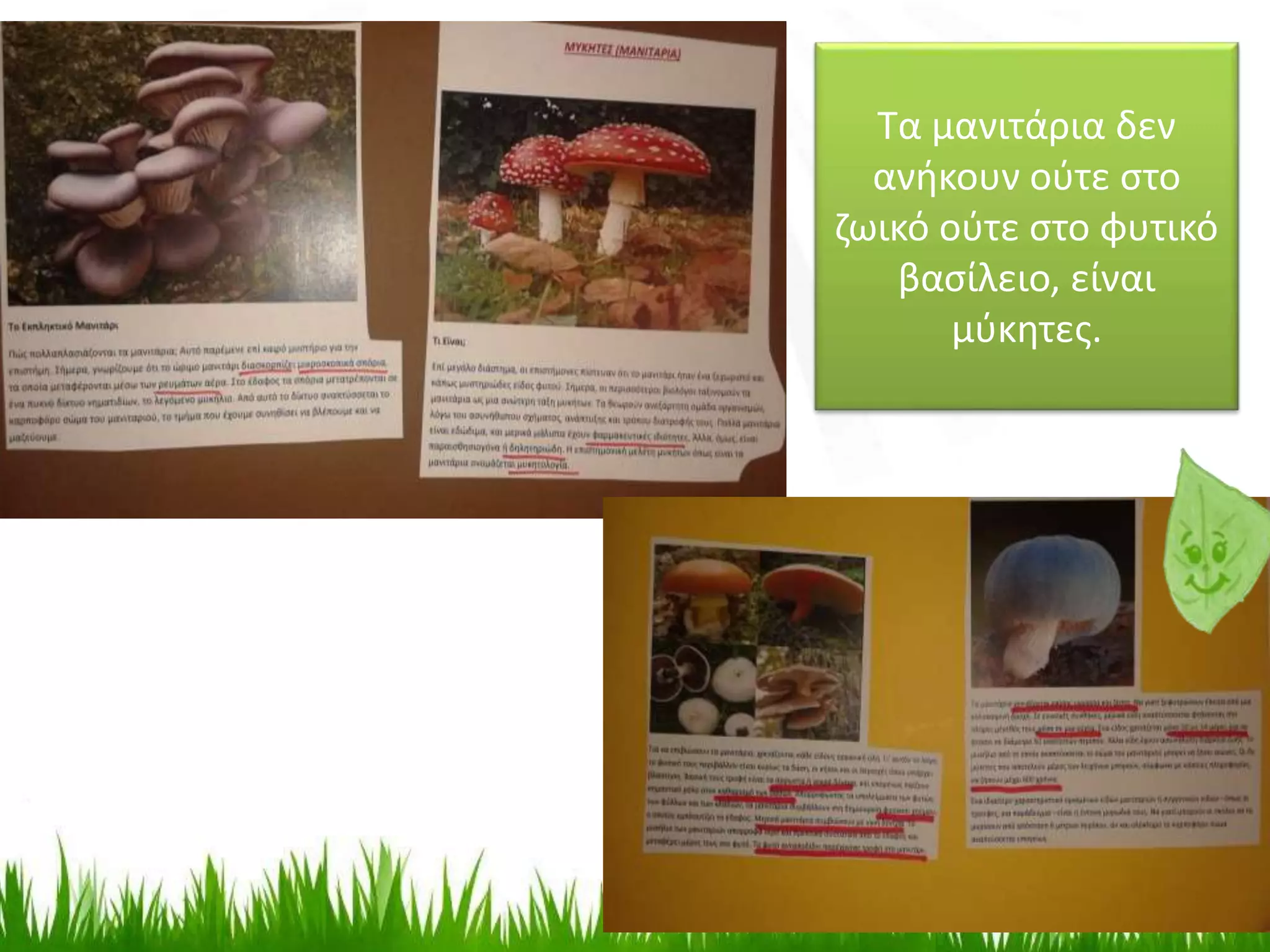 Τα μανιτάρια δεν
ανήκουν ούτε στο
ζωικό ούτε στο φυτικό
βασίλειο, είναι
μύκητες.
 