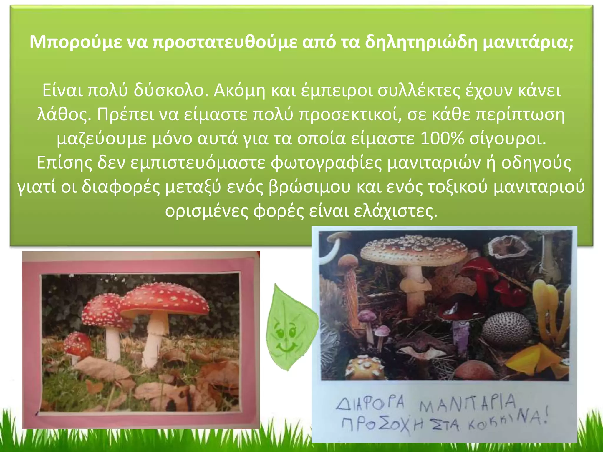 Μπορούμε να προστατευθούμε από τα δηλητηριώδη μανιτάρια;
Είναι πολύ δύσκολο. Ακόμη και έμπειροι συλλέκτες έχουν κάνει
λάθος. Πρέπει να είμαστε πολύ προσεκτικοί, σε κάθε περίπτωση
μαζεύουμε μόνο αυτά για τα οποία είμαστε 100% σίγουροι.
Επίσης δεν εμπιστευόμαστε φωτογραφίες μανιταριών ή οδηγούς
γιατί οι διαφορές μεταξύ ενός βρώσιμου και ενός τοξικού μανιταριού
ορισμένες φορές είναι ελάχιστες.
 