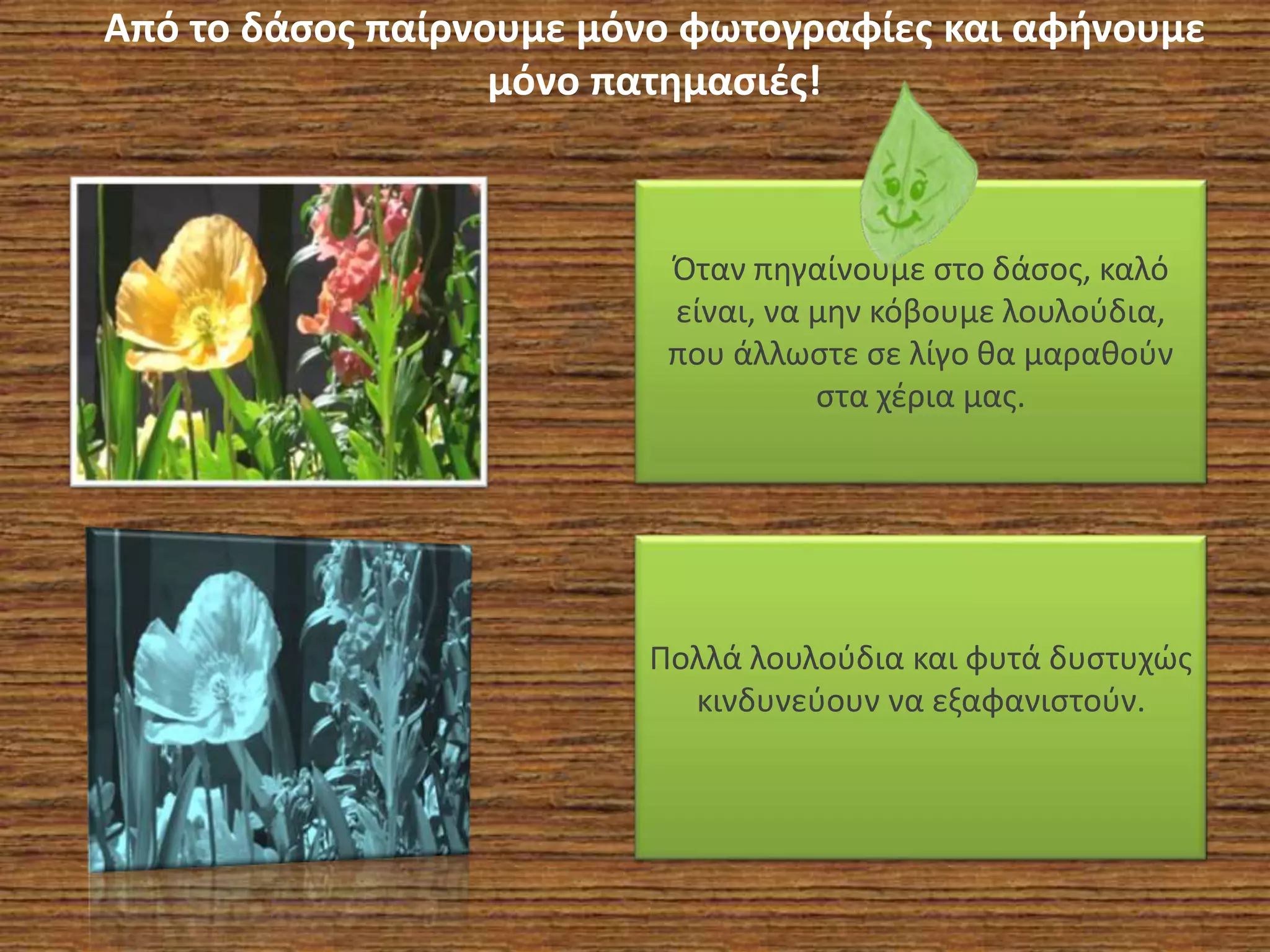 Όταν πηγαίνουμε στο δάσος, καλό
είναι, να μην κόβουμε λουλούδια,
που άλλωστε σε λίγο θα μαραθούν
στα χέρια μας.
Πολλά λουλούδια και φυτά δυστυχώς
κινδυνεύουν να εξαφανιστούν.
Από το δάσος παίρνουμε μόνο φωτογραφίες και αφήνουμε
μόνο πατημασιές!
 