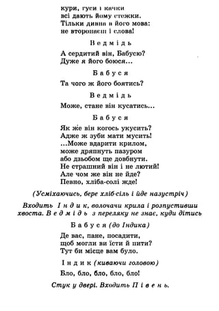 кури, гуси І ІСНЧКИ
всі дають йому стежки.
Тільки динна мйого мова:
не второиасш і слова!
В о д м і д ь
А сердитий він, Бабусю?
Дуже я його боюся...
Б а б у с я
Та чого ж його боятись?
В е д м і д ь
Може, стане він кусатись...
Б а б у с я
Як же він когось укусить?
Адже ж зуби мати мусить!
...Може вдарити крилом,
може дряпнуть пазуром
або дзьобом ще довбнути.
Не страшний він і не лютий!
Але чом же він не йде?
Певно, хліба-солі жде!
(Усміхаючись, бере хліб-сіль і йде назустріч)
Входить І н д и к , волочачи крила і розпустивши
хвоста. В е д м і д ь з переляку не знає, куди дітись
Б а б у с я (5о Індика)
Де вас, пане, посадити,
щоб могли ви їсти й пити?
Тут би місце вам було.
І н д и к (киваючи головою)
Бло, бло, бло, бло, бло!
Стук у двері. Входить П і в е н ь .
 