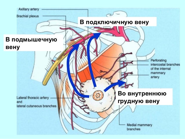 Корнилова схемы