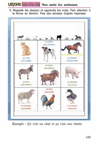 133
LEÇONS 10–11–12 Nos amis les animaux
1. Regarde les dessins et apprends les mots. Fais attention à
la forme du féminin. Fais des phrases d’après l’exemple.
Exemple : Ça c’est un chat et ça c’est une chatte.
 