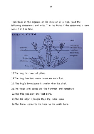 54
Test 7.Look at the diagram of the skeleton of a frog. Read the
following statements and write T in the blank if the statement is true
write F if it is false.
18.The frog has two tail pillars.
19.The frog has two ankle bones on each foot.
20..The frog’s breastbone is smaller than it’s skull.
21.The frog’s arm bones are the hummer and vertebrae.
22.The frog has only one foot bone.
23.The tail pillar is longer than the radio – ulna.
24.The femur connects the knee to the ankle bone.
 
