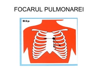 FOCARUL PULMONAREI
 