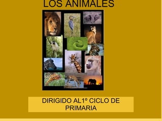 LOS ANIMALES DIRIGIDO AL1º CICLO DE PRIMARIA 
