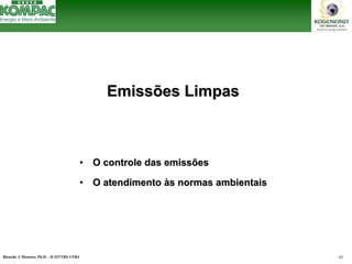 Ricardo A Menezes, Ph.D. - II SITTRS UFRJ 43 
Emissões Limpas 
••O controle das emissõesO emissões••O atendimento ààs normas ambientaiss ambientais  