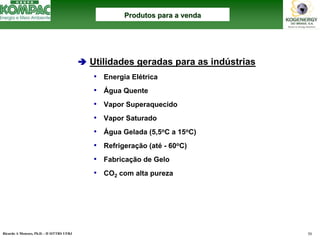 Ricardo A Menezes, Ph.D. - II SITTRS UFRJ 50 
ÄUtilidades geradas para as indústrias 
•Energia Elétrica 
•Água Quente 
•Vapor Superaquecido 
•Vapor Saturado 
•Água Gelada (5,5oC a 15oC) 
•Refrigeração (até-60oC) 
•Fabricação de Gelo 
•CO2com alta purezaProdutos para a vendaProdutos venda  