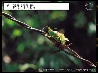  기간:  2011년 04월 15일까지